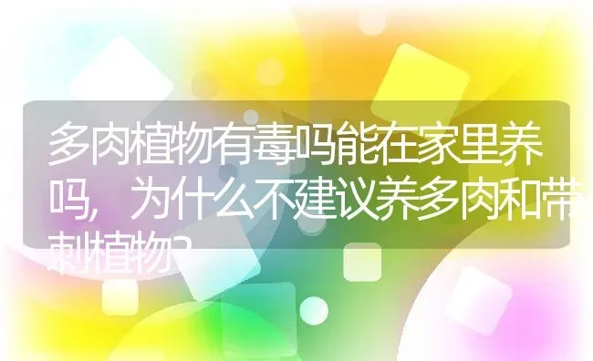 多肉植物有毒吗能在家里养吗,为什么不建议养多肉和带刺植物？ | 养殖常见问题