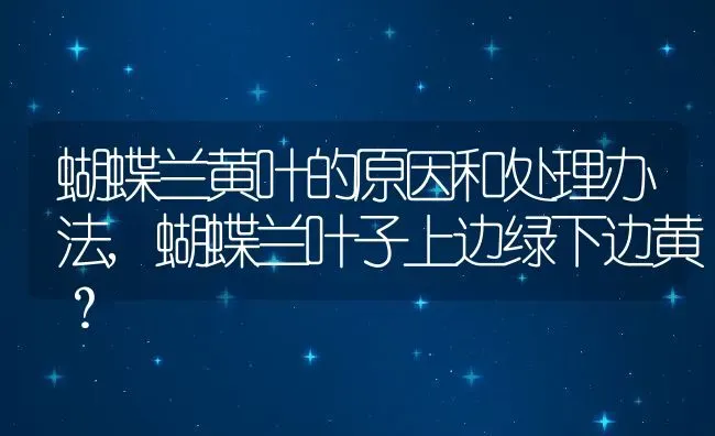 蝴蝶兰黄叶的原因和处理办法,蝴蝶兰叶子上边绿下边黄？ | 养殖常见问题