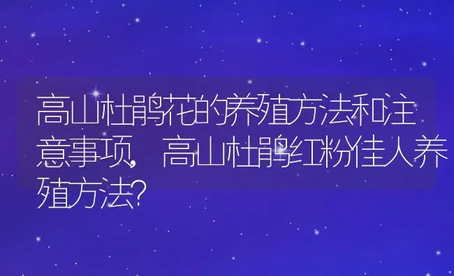 高山杜鹃花的养殖方法和注意事项,高山杜鹃红粉佳人养殖方法？ | 养殖常见问题