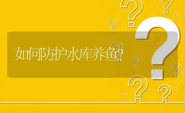 如何防护水库养鱼? | 养殖问题解答