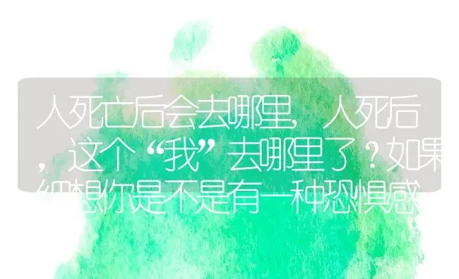 人死亡后会去哪里,人死后，这个“我”去哪里了？如果细想你是不是有一种恐惧感 | 养殖常见问题