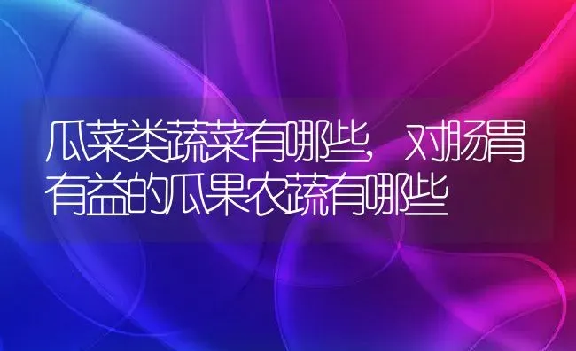 瓜菜类蔬菜有哪些,对肠胃有益的瓜果农蔬有哪些 | 养殖常见问题