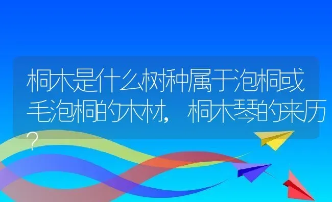 桐木是什么树种属于泡桐或毛泡桐的木材,桐木琴的来历？ | 养殖常见问题