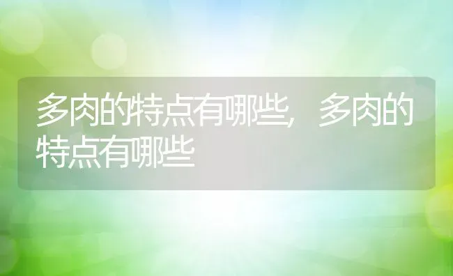 多肉的特点有哪些,多肉的特点有哪些 | 养殖常见问题