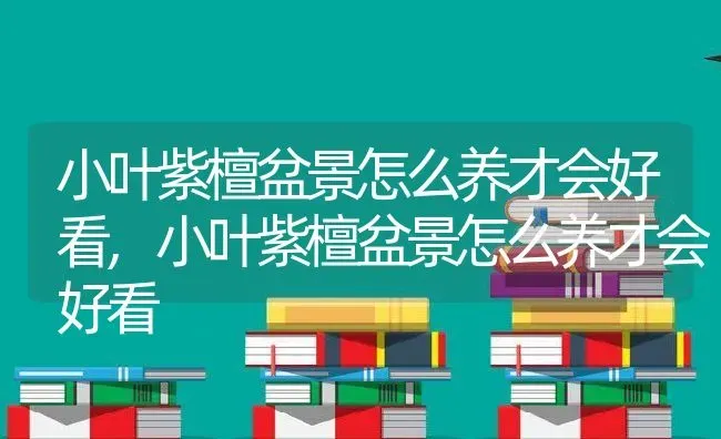 小叶紫檀盆景怎么养才会好看,小叶紫檀盆景怎么养才会好看 | 养殖常见问题