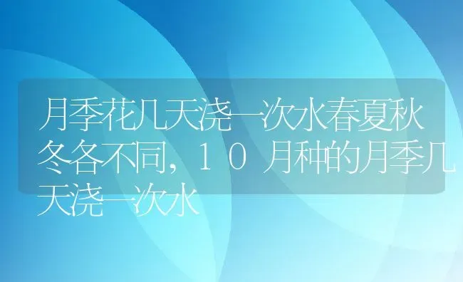 月季花几天浇一次水春夏秋冬各不同,10月种的月季几天浇一次水 | 养殖常见问题