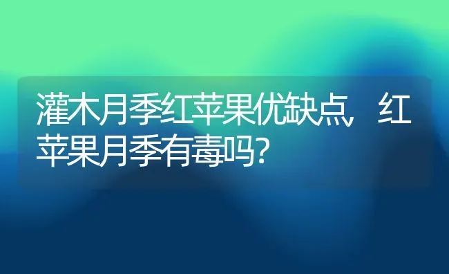 灌木月季红苹果优缺点,红苹果月季有毒吗？ | 养殖常见问题