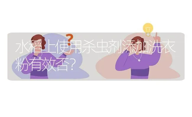 水稻上使用杀虫剂添加洗衣粉有效否? | 养殖问题解答