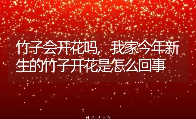 竹子会开花吗,我家今年新生的竹子开花是怎么回事 | 养殖常见问题