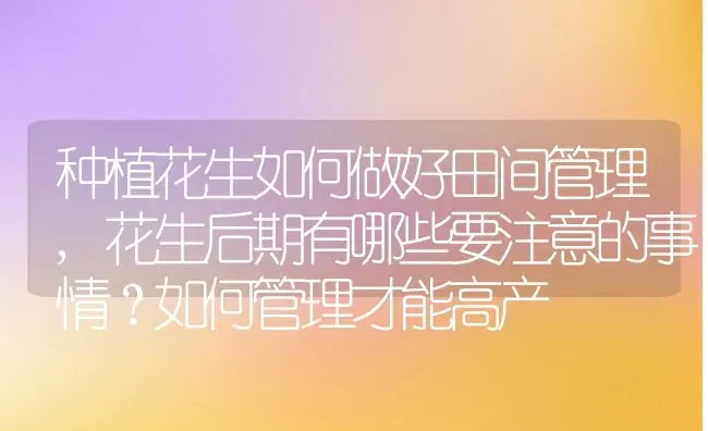 种植花生如何做好田间管理,花生后期有哪些要注意的事情？如何管理才能高产 | 养殖常见问题