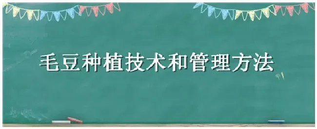 毛豆种植技术和管理方法 | 农业问题