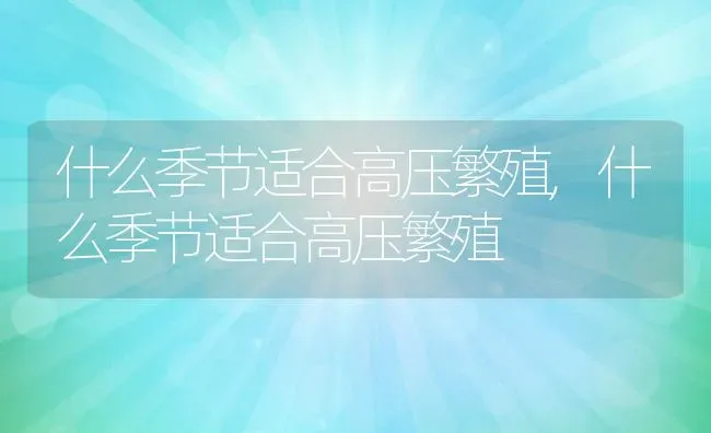 什么季节适合高压繁殖,什么季节适合高压繁殖 | 养殖常见问题