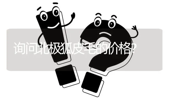 询问北极狐皮毛的价格? | 养殖问题解答