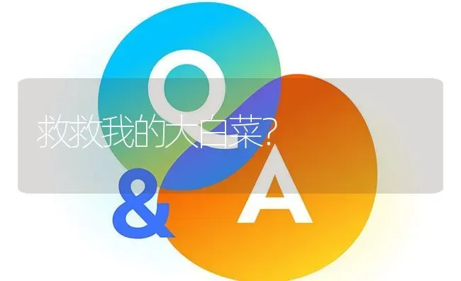 救救我的大白菜? | 养殖问题解答