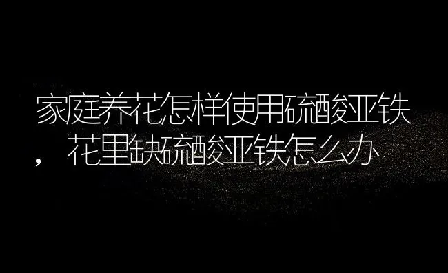 家庭养花怎样使用硫酸亚铁,花里缺硫酸亚铁怎么办 | 养殖常见问题