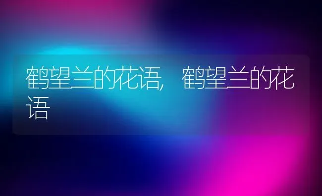鹤望兰的花语,鹤望兰的花语 | 养殖常见问题