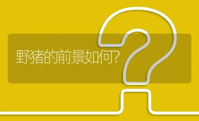 野猪的前景如何? | 养殖问题解答