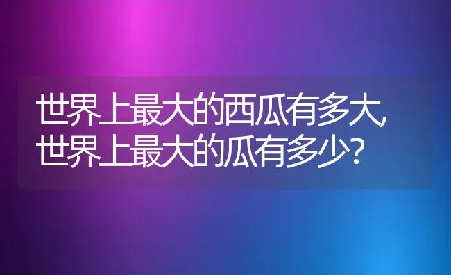 世界上最大的西瓜有多大,世界上最大的瓜有多少？ | 养殖常见问题