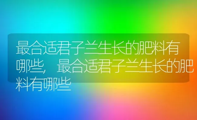 最合适君子兰生长的肥料有哪些,最合适君子兰生长的肥料有哪些 | 养殖常见问题