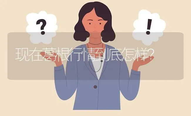 现在葛根行情到底怎样? | 养殖问题解答