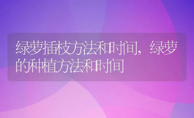 绿萝插枝方法和时间,绿萝的种植方法和时间 | 养殖常见问题