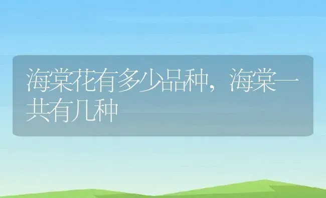 海棠花有多少品种,海棠一共有几种 | 养殖常见问题