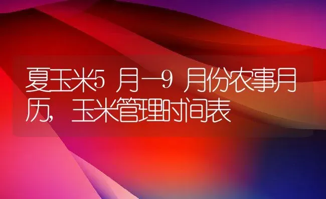 夏玉米5月—9月份农事月历,玉米管理时间表 | 养殖常见问题