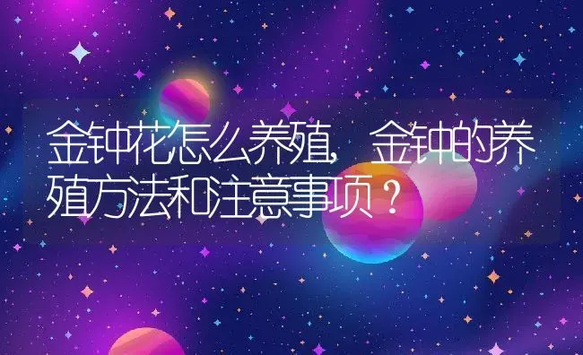 金钟花怎么养殖,金钟的养殖方法和注意事项？ | 养殖常见问题