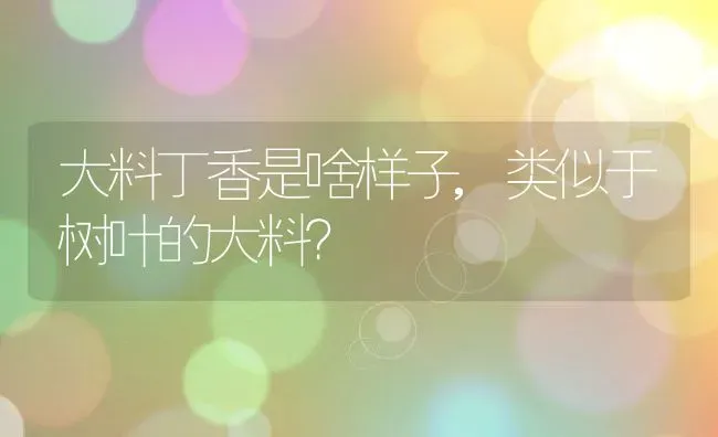 大料丁香是啥样子,类似于树叶的大料？ | 养殖常见问题