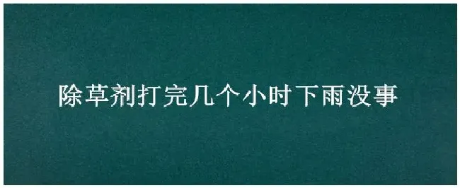 除草剂打完几个小时下雨没事 | 农业答疑