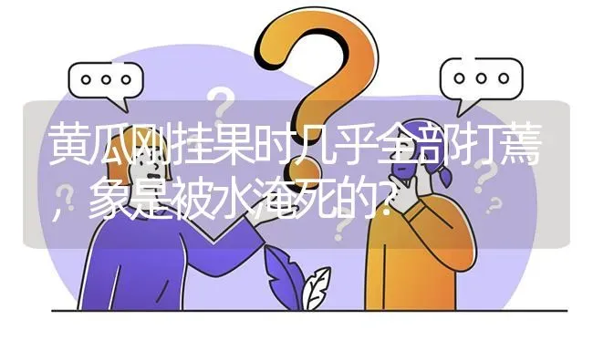 黄瓜刚挂果时几乎全部打蔫,象是被水淹死的? | 养殖问题解答