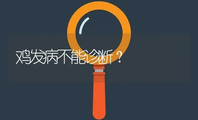 鸡发病不能诊断? | 养殖问题解答