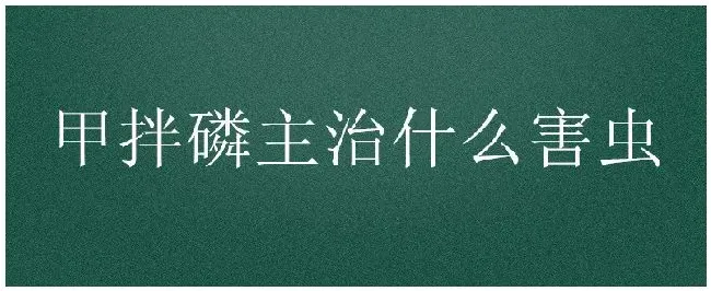 甲拌磷主治什么害虫 | 农业常识