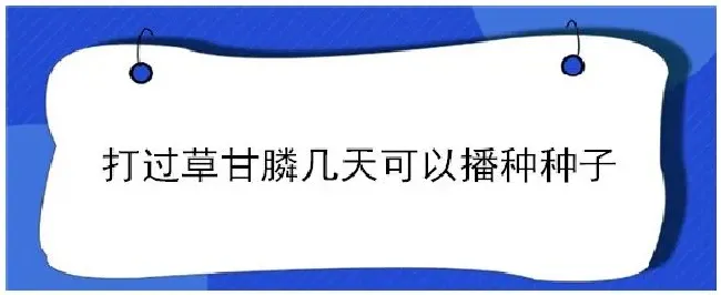 打过草甘膦几天可以播种种子 | 科普知识