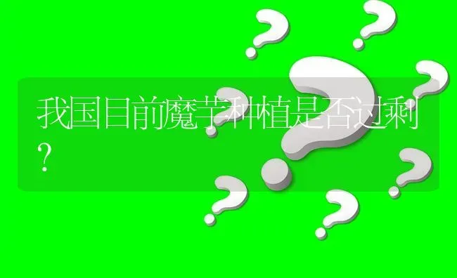 我国目前魔芋种植是否过剩? | 养殖问题解答