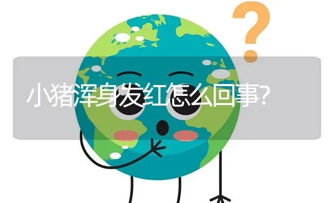 小猪浑身发红怎么回事? | 养殖问题解答