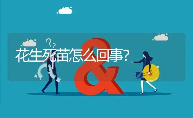 花生死苗怎么回事? | 养殖问题解答