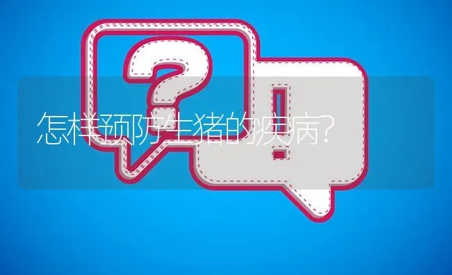 怎样预防生猪的疾病? | 养殖问题解答