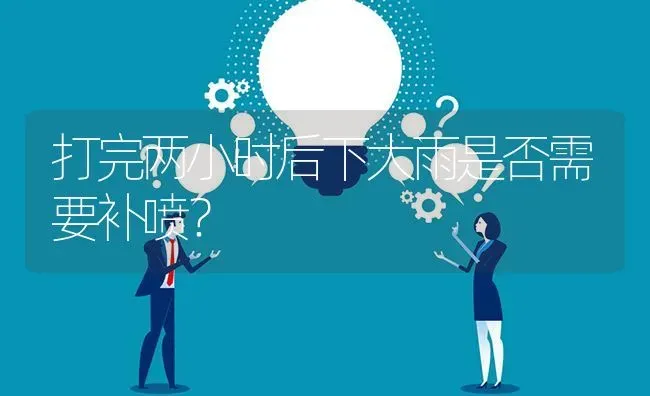 打完两小时后下大雨是否需要补喷? | 养殖问题解答