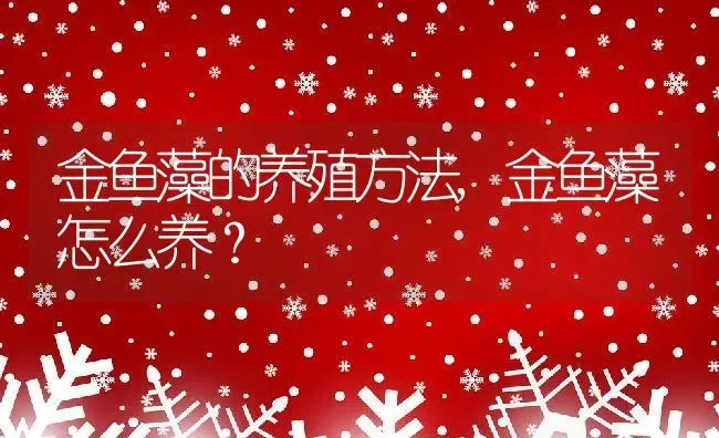 金鱼藻的养殖方法,金鱼藻怎么养？ | 养殖常见问题