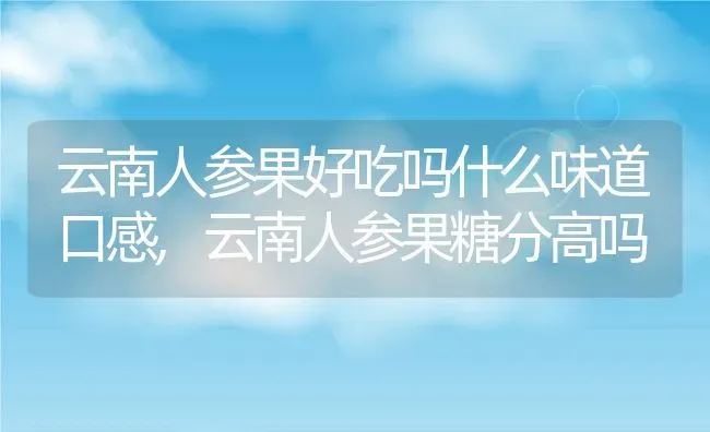 云南人参果好吃吗什么味道口感,云南人参果糖分高吗 | 养殖常见问题