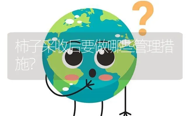 柿子采收后要做哪些管理措施? | 养殖问题解答