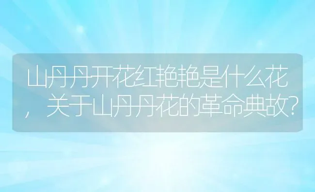 山丹丹开花红艳艳是什么花,关于山丹丹花的革命典故？ | 养殖常见问题