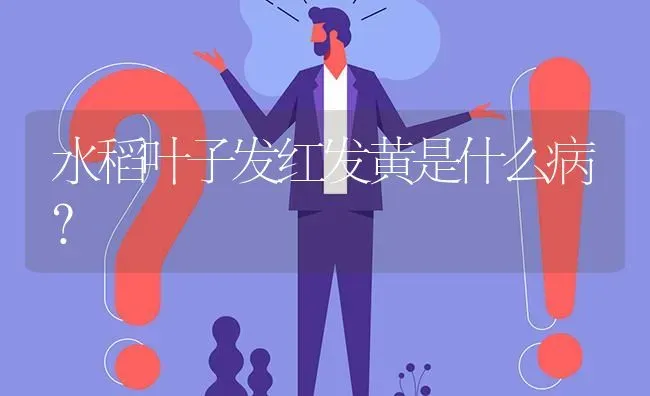 水稻叶子发红发黄是什么病? | 养殖问题解答