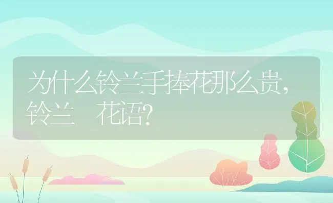 为什么铃兰手捧花那么贵,铃兰 花语？ | 养殖常见问题