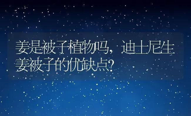 姜是被子植物吗,迪士尼生姜被子的优缺点？ | 养殖常见问题