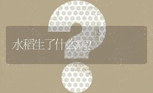 水稻生了什么病? | 养殖问题解答