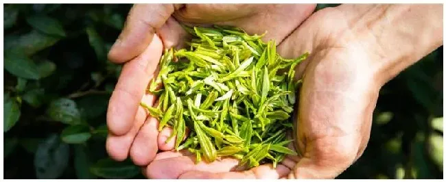 峨眉产什么茶 | 农业答疑