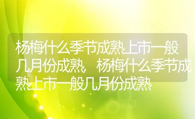 杨梅什么季节成熟上市一般几月份成熟,杨梅什么季节成熟上市一般几月份成熟 | 养殖常见问题