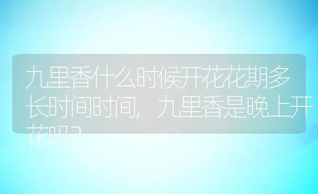 九里香什么时候开花花期多长时间时间,九里香是晚上开花吗？ | 养殖常见问题